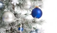 Christmas Trees Cause Psychological Harm for People Who Don’t Celebrate
