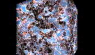 The Most Distant Galaxy Measured – Astronomers See The Universe At a Young Age The Most Distant Galaxy Measured – Astronomers See The Universe At a Young Age