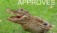 Yet Another Flaw in Intelligent Design Creationism Yet Another Flaw in Intelligent Design Creationism