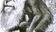 One week left: Support the Darwin Day Resolution! One week left: Support the Darwin Day Resolution!