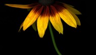 Certainty is useless – a scientific concept Certainty is useless – a scientific concept