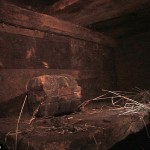 New twist in Noah's Ark hoax