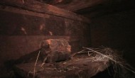 Ex-colleague: Noah's Ark discovery a hoax Ex-colleague: Noah's Ark discovery a hoax