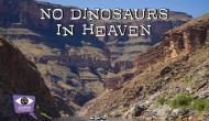 Making Creationism extinct: New film explores dangers of anti-evolutionism Making Creationism extinct: New film explores dangers of anti-evolutionism