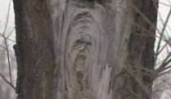 Pareidolia Strikes Again – Face of Jesus Everywhere Pareidolia Strikes Again – Face of Jesus Everywhere