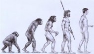 Creationism Camouflage: Ohio School Board Mulls Policy To Counter ‘Controversial’ Evolution Creationism Camouflage: Ohio School Board Mulls Policy To Counter ‘Controversial’ Evolution