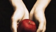 Why Evangelicals Should Love Twilight Why Evangelicals Should Love Twilight