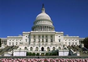Key Senate Race Updates